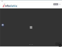 Tablet Screenshot of infodatix.com